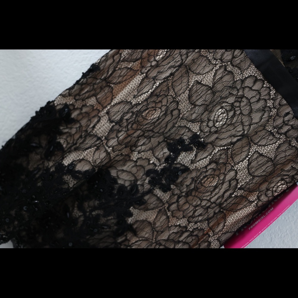 Alyce Paris Black and Nude Lace and Bead Cocktail Dress - Picture 5 of 6